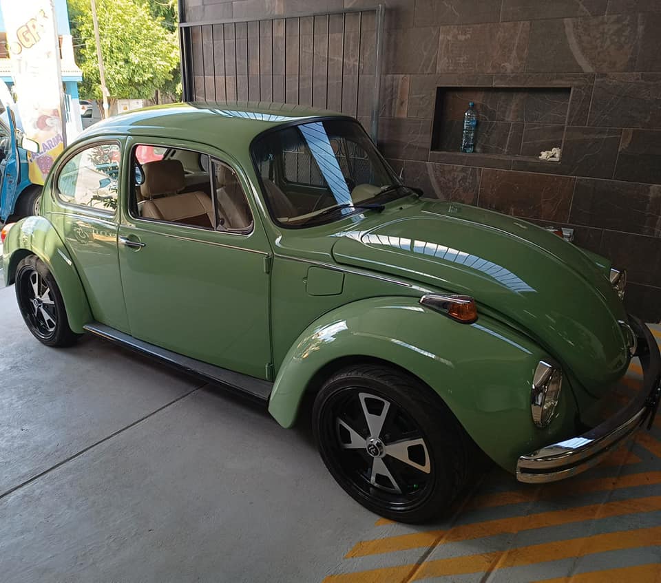 Esta imagen tiene un atributo ALT vacío; su nombre de archivo es beetle-1.jpg